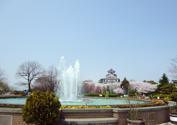 豊公園の桜と長浜城