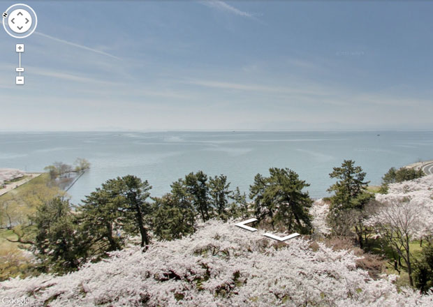 Googleストリートビューで琵琶湖と豊公園の桜