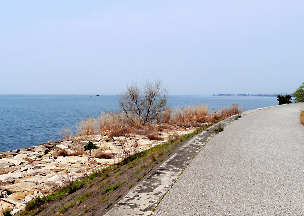 湖岸道路