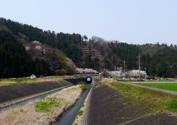 西野水道