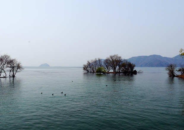 西野水道からの琵琶湖