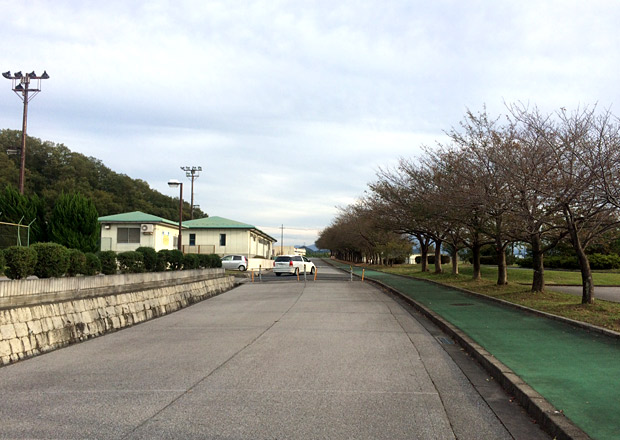 お市マラソンスタート地点