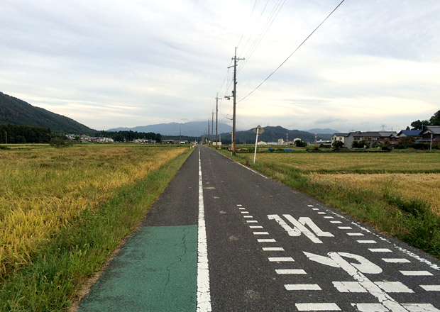 田んぼ道をひたすら走ります