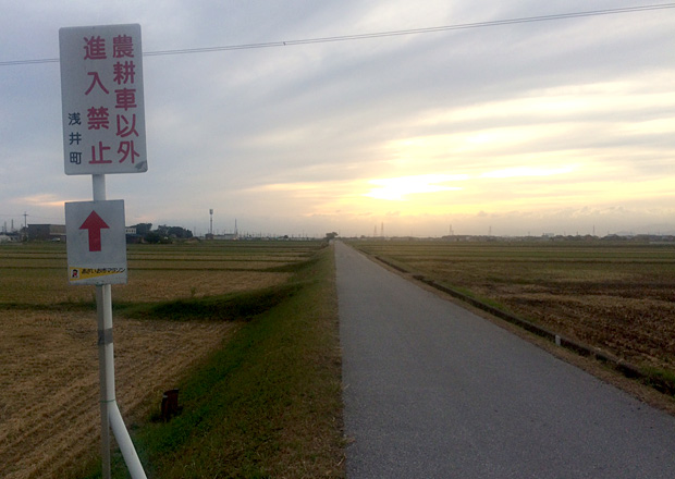 ひたすら続く田んぼ道のコース