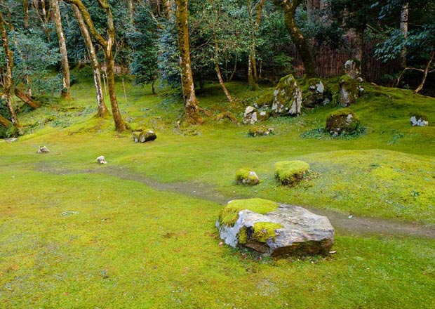 近江孤篷庵の枯山水庭園