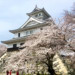 長浜城と桜の風景は美しい