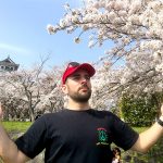 みなさん豊公園の桜が満開ですよ。お花見しましょう