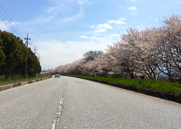 さざなみ街道 湖周道路