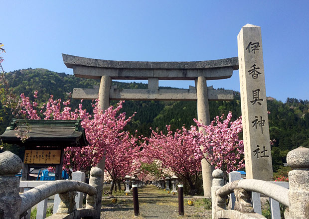 伊香具神社の参道