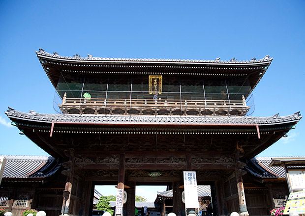 大通寺の境内にゴジラ