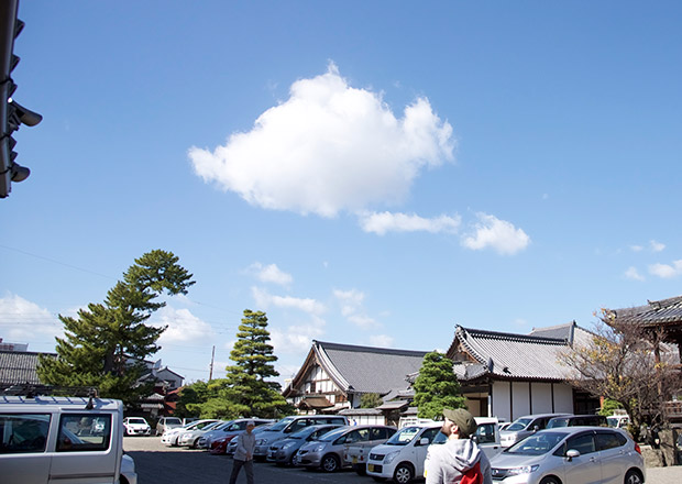 大通寺の境内にゴジラ