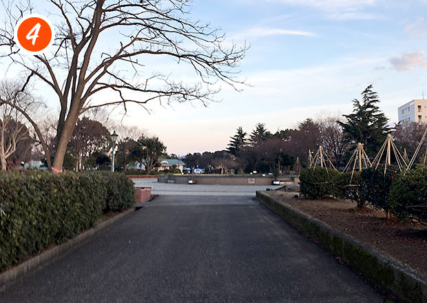 豊公園の噴水を通過する