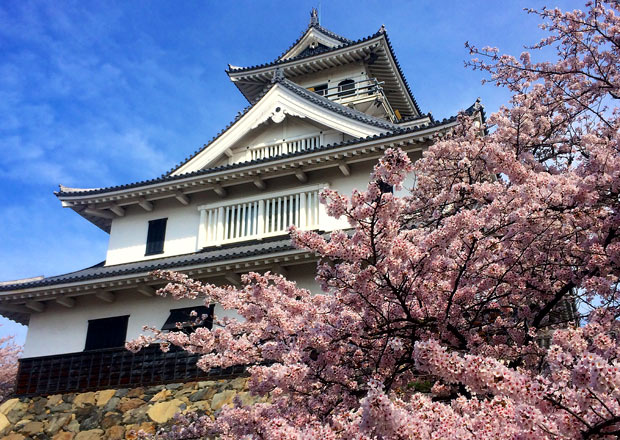 長浜城歴史博物館