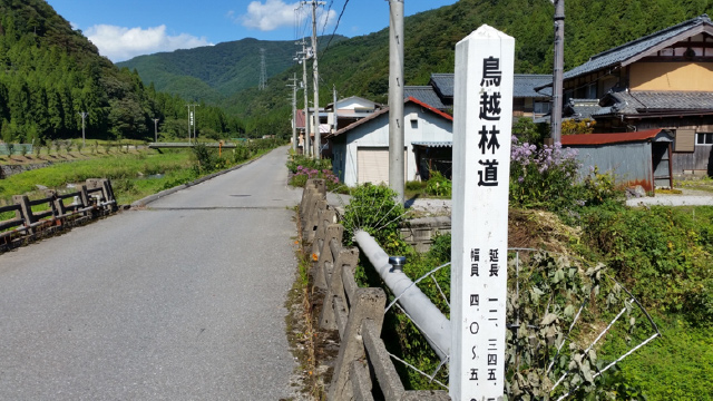 長浜市鍛冶屋町にある鳥越林道の標識