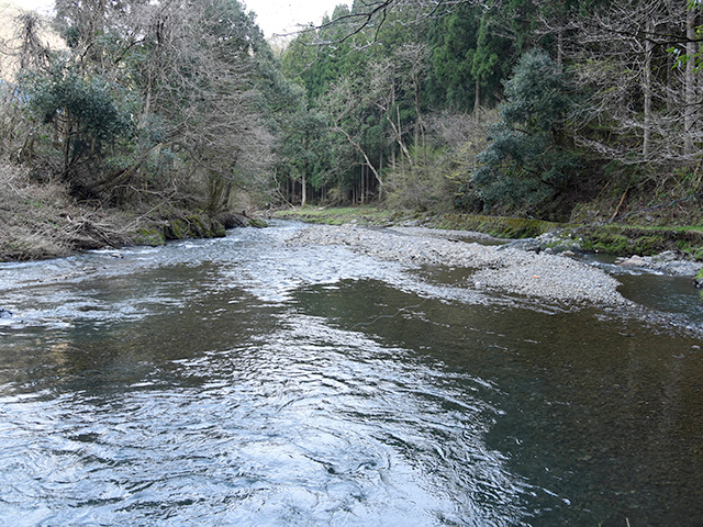 水が綺麗な杉野川