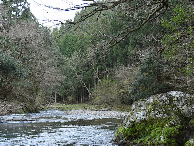 木之本の杉野川まで釣りにやってきた