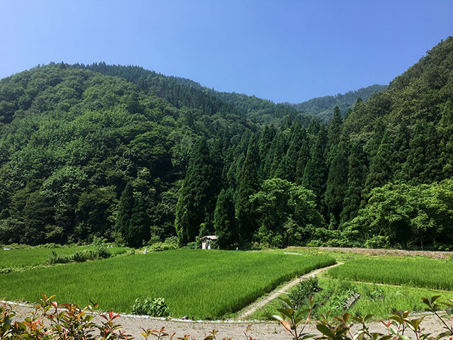 自然豊かな場所で夏休みにおばあちゃんちに遊びに来た感じ