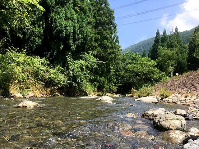 高山キャンブ場のとなりに流れる草野川で川遊び