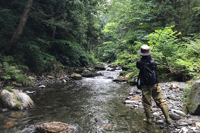 杉野川の下流から上流に向かって釣りをする