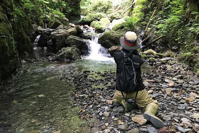 川の魚はよく見てるから、姿を見られないようにしゃがもう