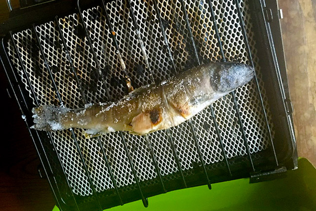 魚のハラワタを取って塩焼きにして食べました