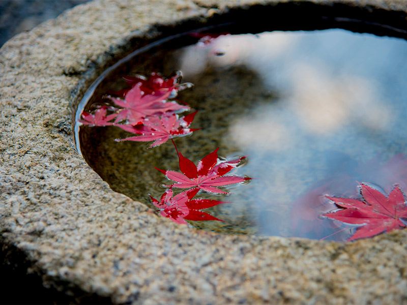 石道寺の紅葉