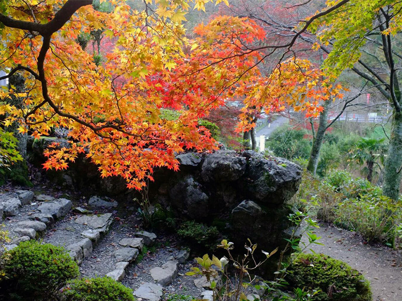 石道寺の紅葉