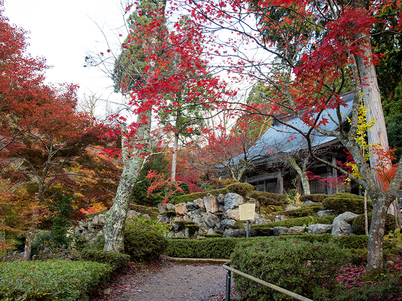 石道寺の紅葉