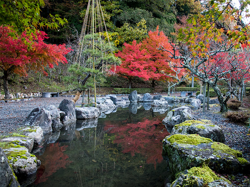 石道寺の紅葉