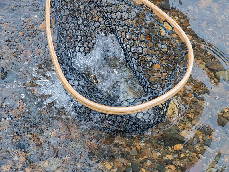 釣ったケタバスはよく暴れる