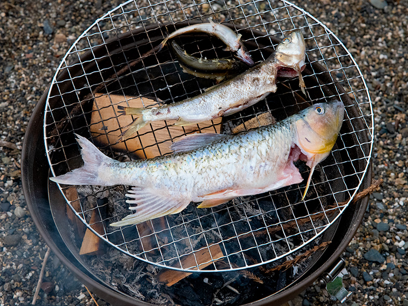 びわ湖で釣れたケタバスを塩焼きにして食べる