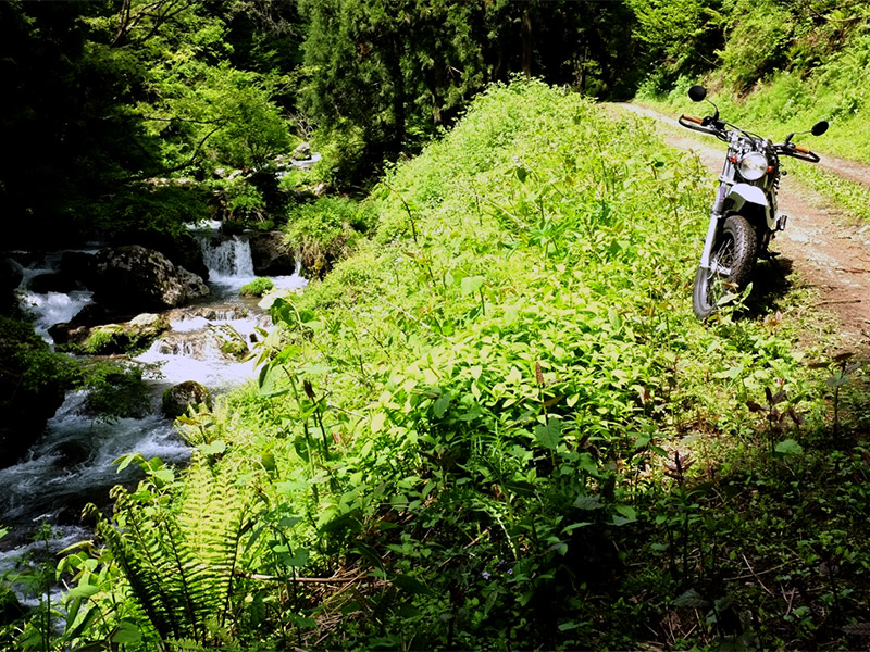 川沿いをバイクで走る