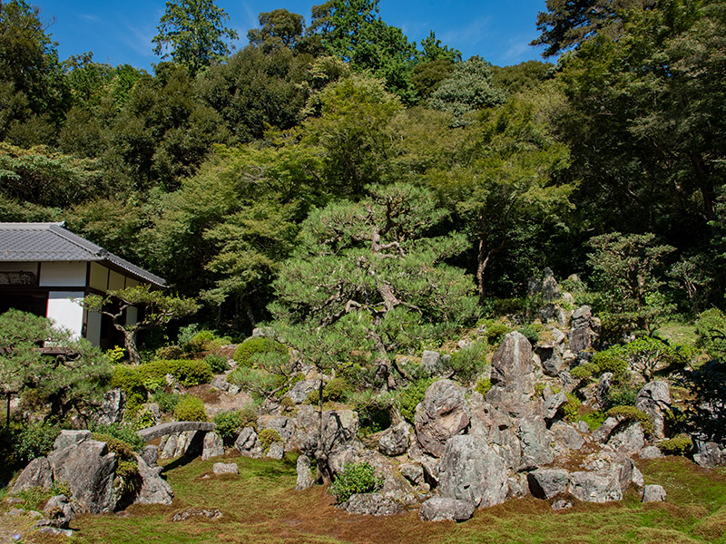 国指定名勝青岸寺庭園