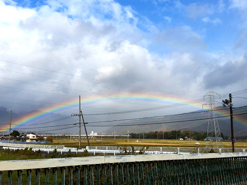 虹の彼方に over the rainbow