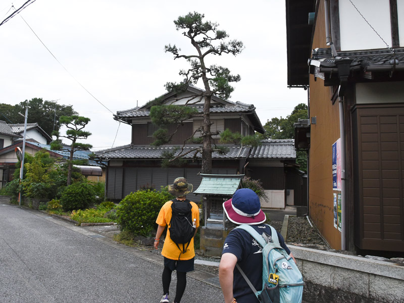 北国街道を歩くと松の木やお地蔵さんが気になってくる