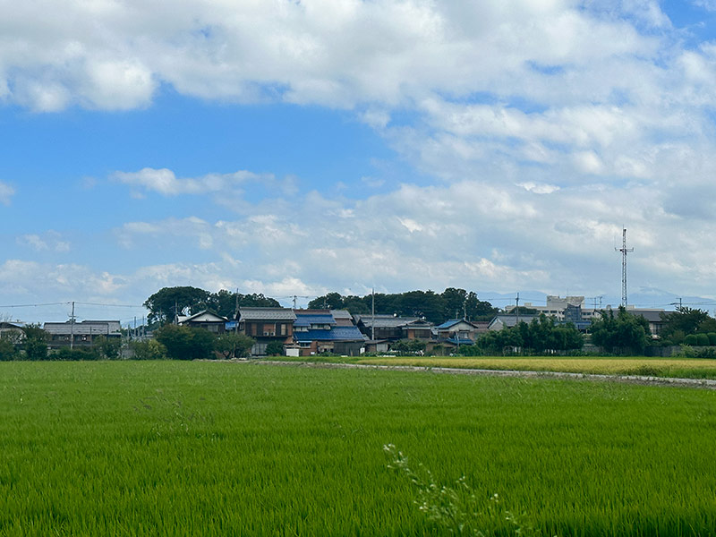 遠くから見た下坂氏館