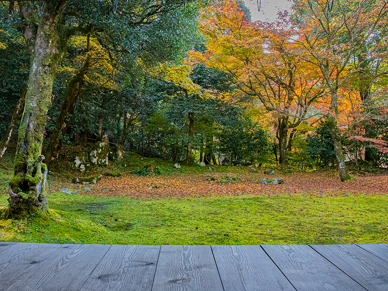 近江孤篷庵の紅葉