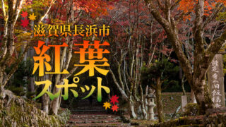 【秋の行楽地を満喫】滋賀県長浜市のおすすめ紅葉スポットをまとめて紹介！