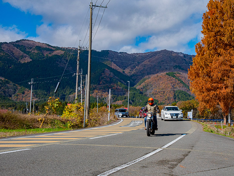 大人気スポットメタセコイヤ並木をバイクで通過