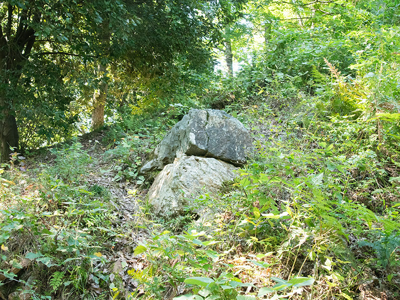 佐和山城跡の隅石垣(すみいしがき)