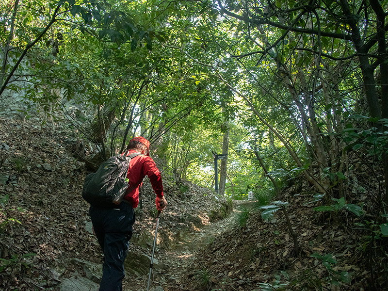 佐和山城跡のかもう坂通り往還の切通し