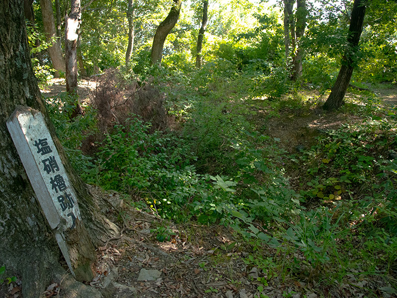 佐和山城の西の丸にあった曲輪の塩硝櫓跡(えんしょうやぐらあと)