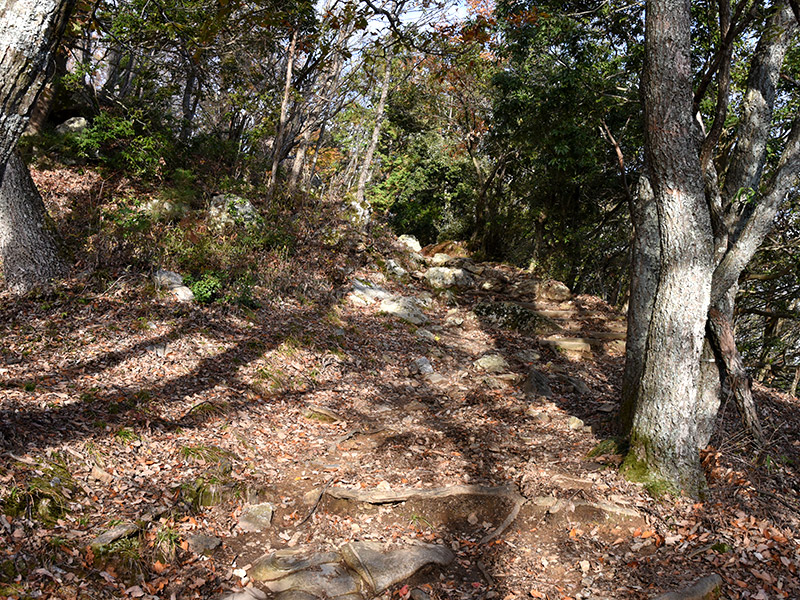 小谷城総攻撃の道を地元語り部ガイドと歩く