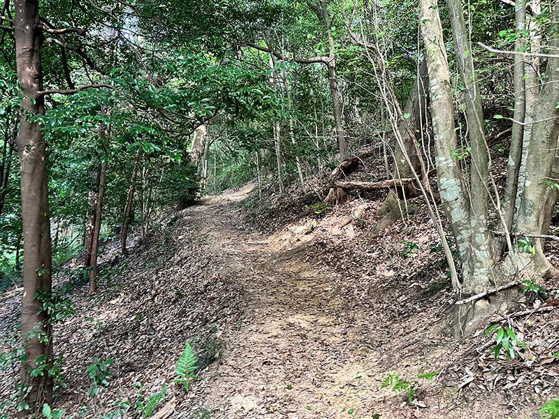 夏の田村山は涼しい
