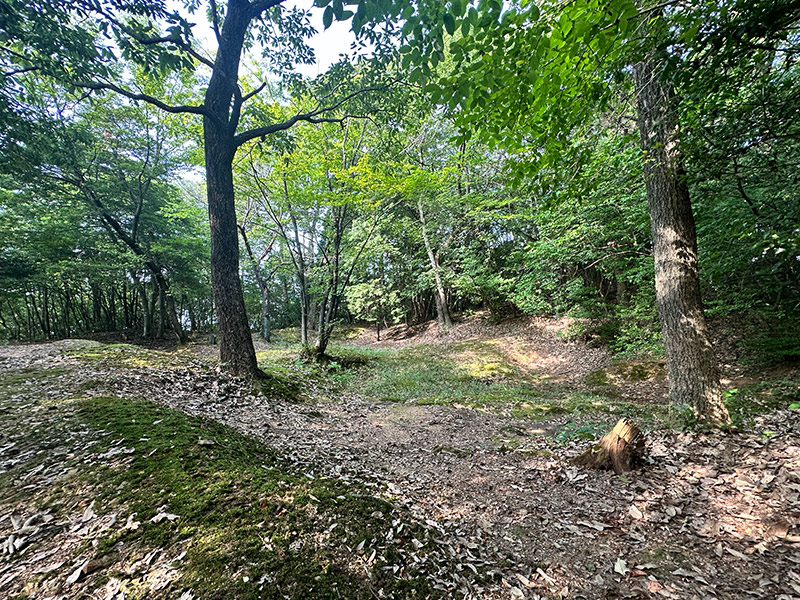 田村山にある鯉が池