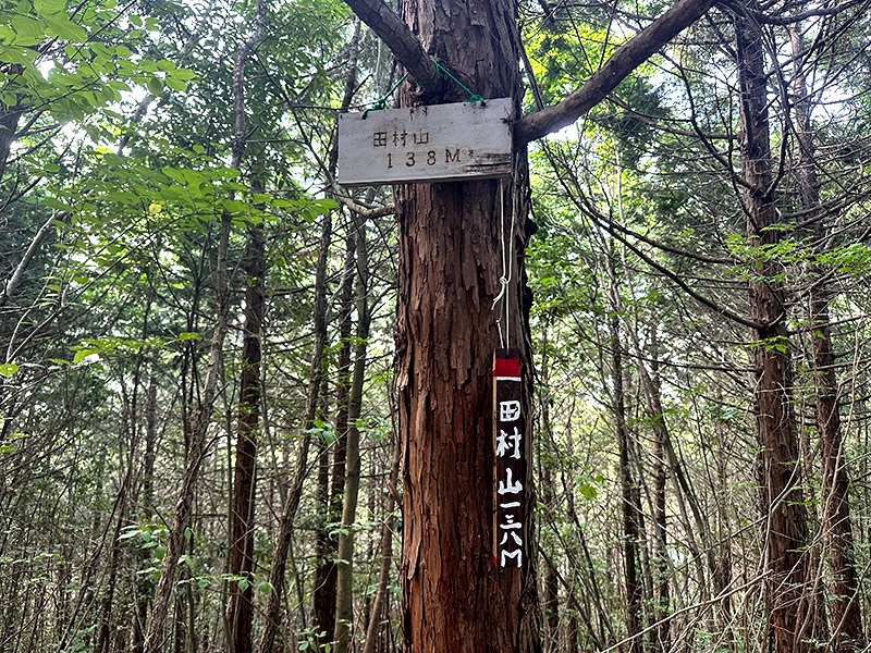 田村山の山頂　標高138m
