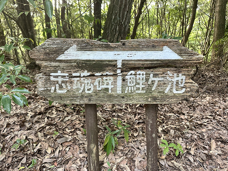 田村山の鯉ヶ池の看板