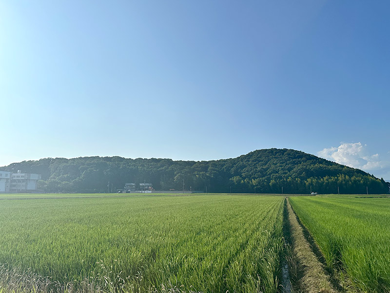 JR田村駅からも近い田村山