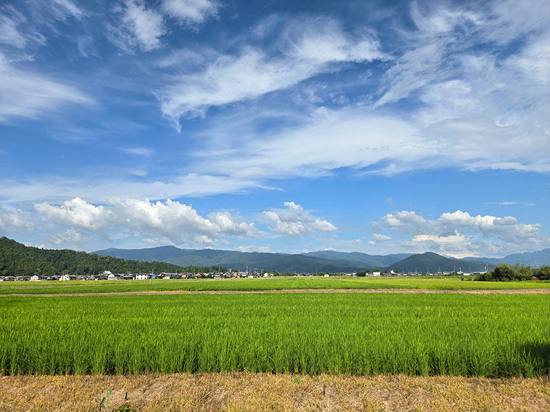 西野水道がある長浜市高月町西野